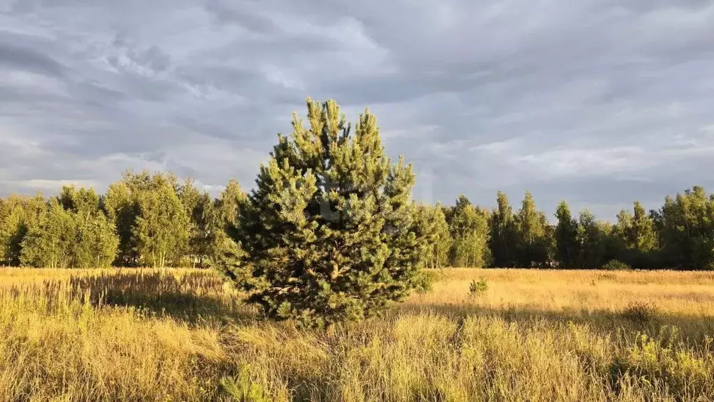 Участок в Московская область, Электросталь городской округ, д. Есино  ... - Фото 0
