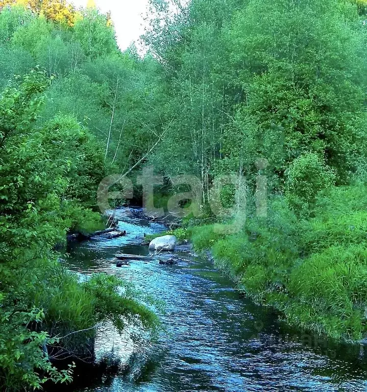 Участок в Ленинградская область, Лодейнопольский район, Янегское ... - Фото 1