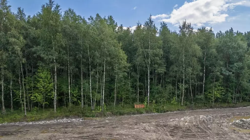 Участок в Ленинградская область, Всеволожский район, Заневское ... - Фото 2