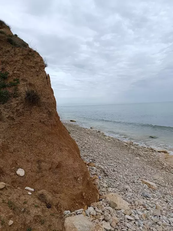 Участок в Крым, Черноморский район, с. Окуневка  (6.0 сот.) - Фото 1