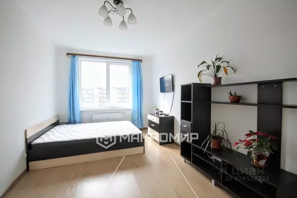 1-к кв. Санкт-Петербург просп. Ветеранов, 169к1 (32.0 м) - Фото 1