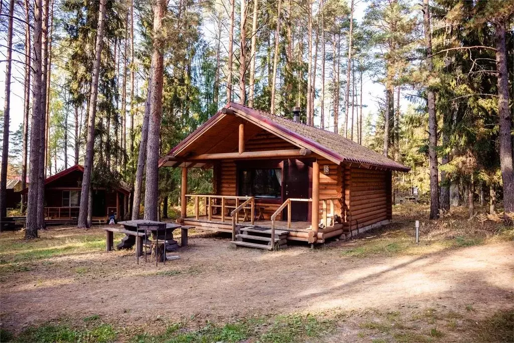 Дом в Псковская область, Гдов  (25 м) - Фото 2