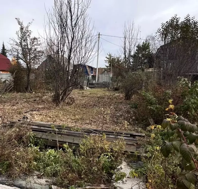 Дом в Свердловская область, Екатеринбург Весна СТ,  (25 м) - Фото 1