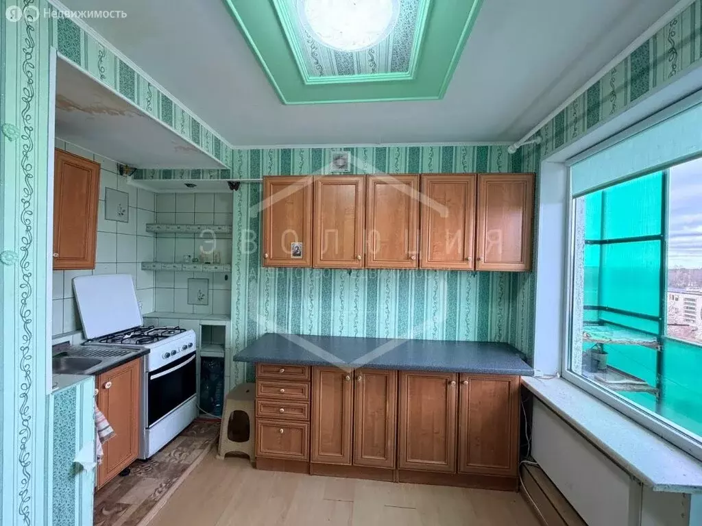 1-комнатная квартира: посёлок Долгоруково, улица Шанина, 10 (33.2 м) - Фото 2