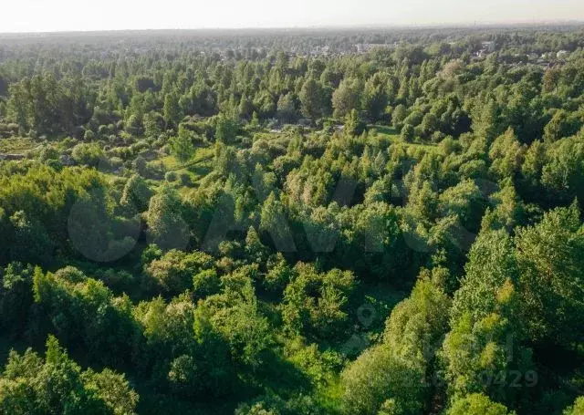 Участок 11,5 сот. (СНТ, ДНП) - Фото 0