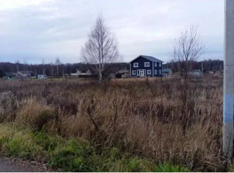 Участок в Московская область, Чехов муниципальный округ, д. Сенино ул. ... - Фото 0