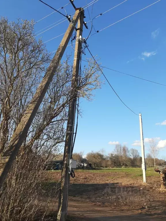 Участок в Псковская область, Новоржевский муниципальный округ, д. ... - Фото 2