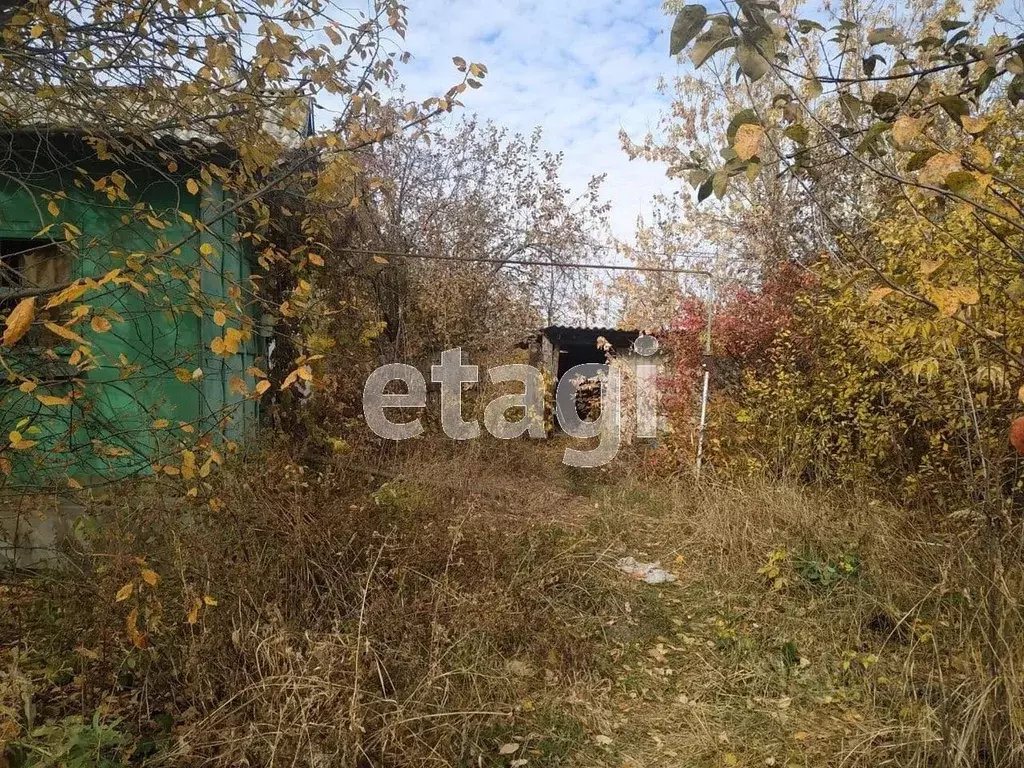 Дом в Белгородская область, Вейделевка рп  (37 м) - Фото 1