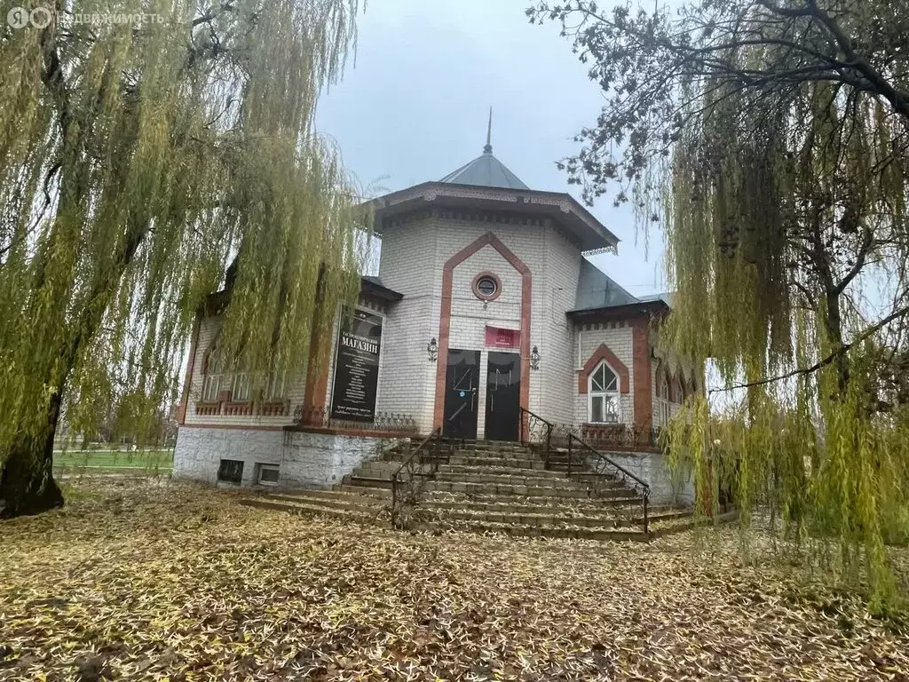 Помещение свободного назначения (225.7 м) - Фото 2