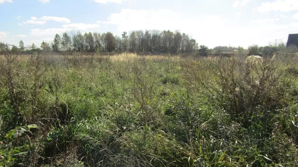 Участок в Московская область, Рузский муниципальный округ, д. Неверово ... - Фото 1