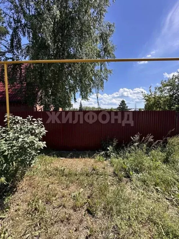 Участок в Новосибирская область, Новосибирский район, с. Барышево ул. ... - Фото 1