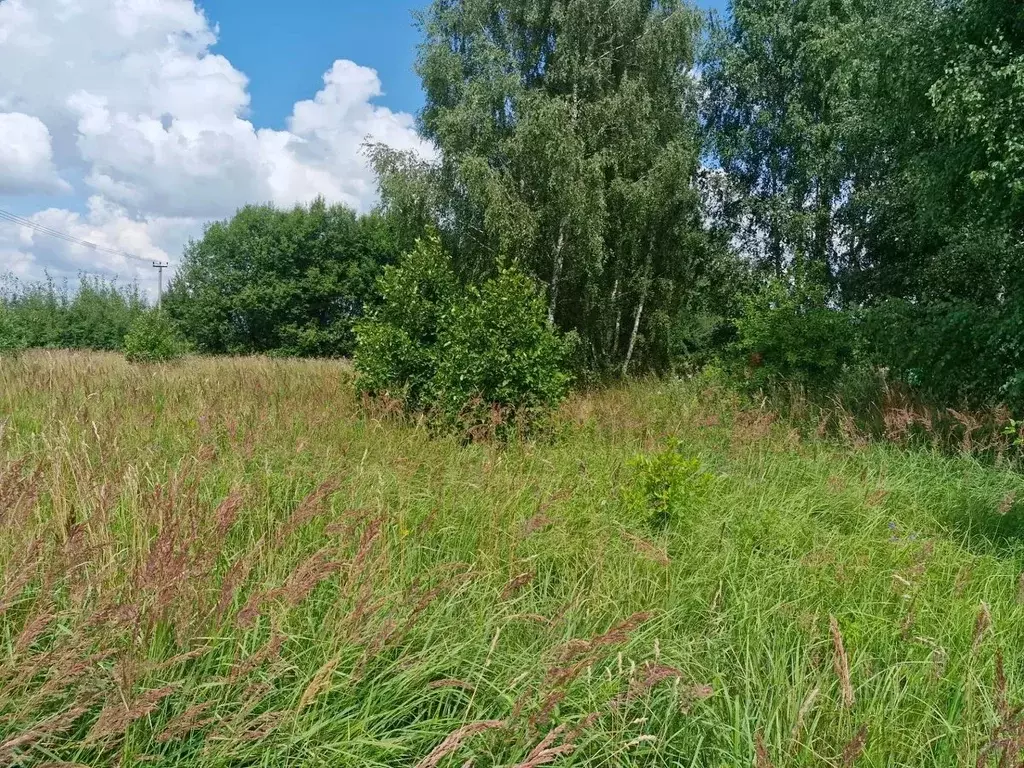 Участок в Московская область, Ступино городской округ, д. Кочкорево  ... - Фото 1
