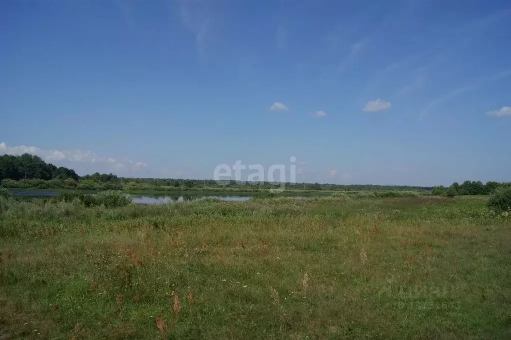 Участок в Псковская область, Псковский район, д. Спасское  (15.0 сот.) - Фото 1