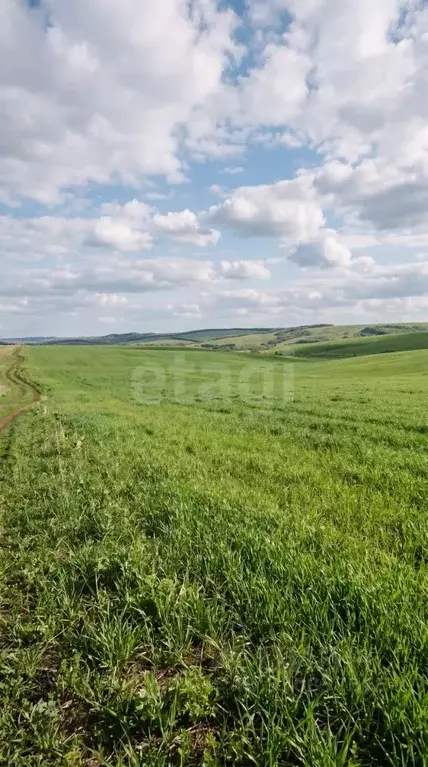 Участок в Алтай, Усть-Коксинский район, пос. Октябрьское  (19.98 сот.) - Фото 1