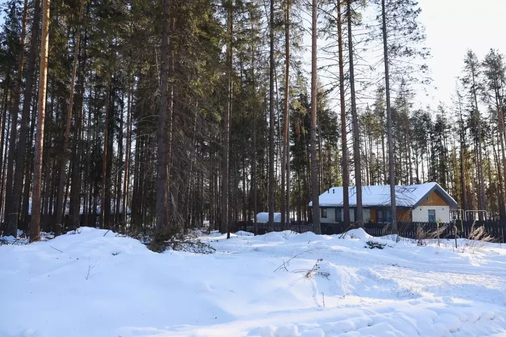 Дом в Свердловская область, Ревда пер. Лесной (135 м) - Фото 1