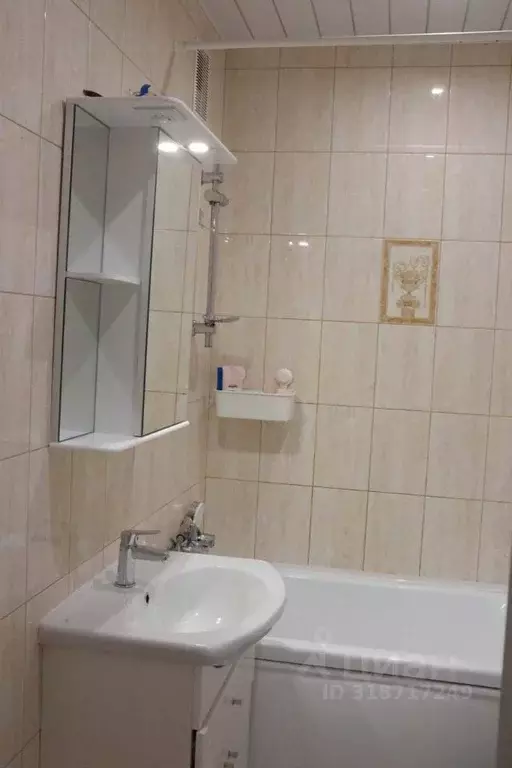 Студия Санкт-Петербург пос. Шушары, ул. Вишерская, 24 (28.0 м) - Фото 1