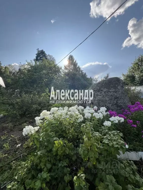 Дом в Ленинградская область, Выборг ул. Антоновская, 27 (40 м) - Фото 2