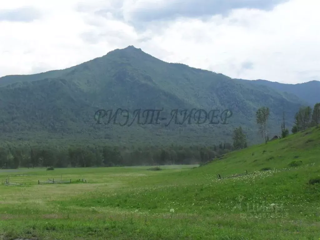 Участок в Алтай, Усть-Коксинский район, с. Катанда  (930.36 сот.) - Фото 1