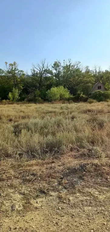 участок в крым, феодосия городской округ, щебетовка пгт ул. персиковая . - Фото 1