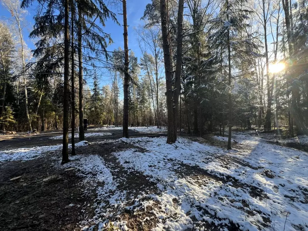 Участок в Московская область, Чехов  (10.0 сот.) - Фото 0