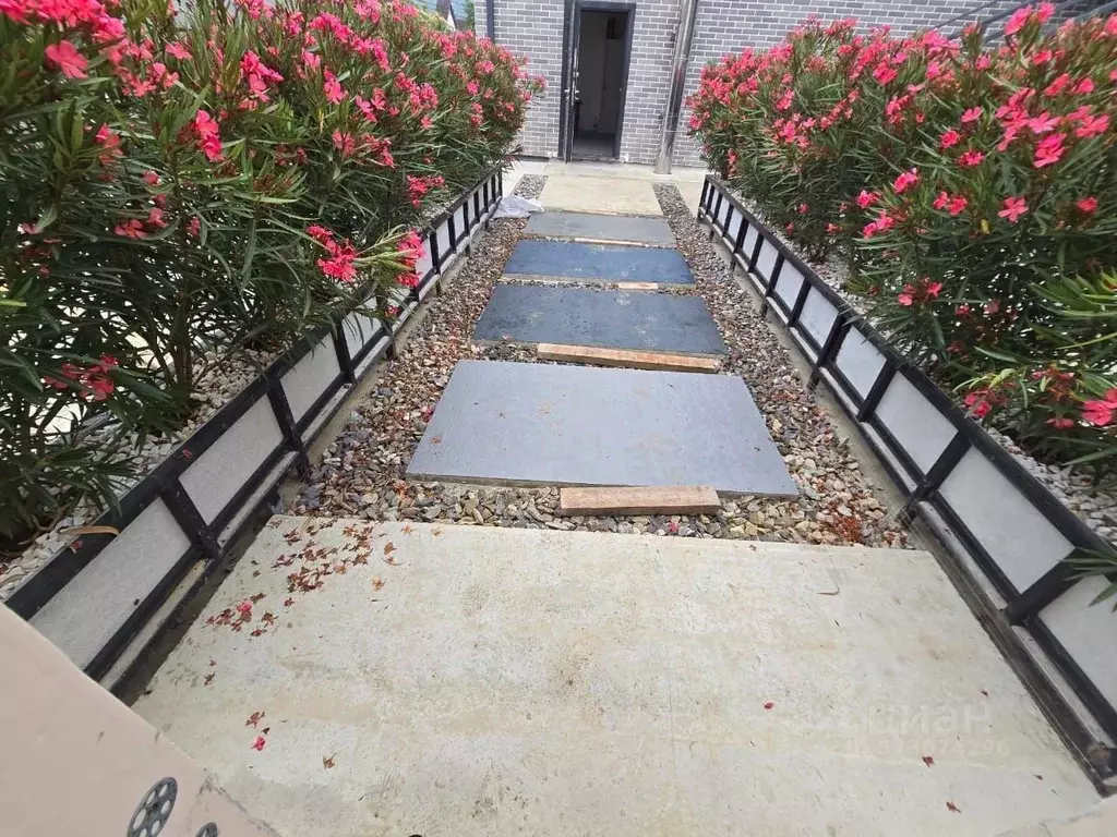 Помещение свободного назначения в Краснодарский край, Сочи городской ... - Фото 2