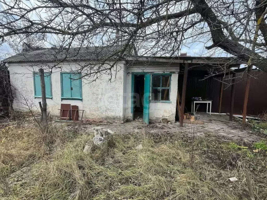 Дом в Воронежская область, Воронеж Придонье СНТ, 238 (17 м) - Фото 1