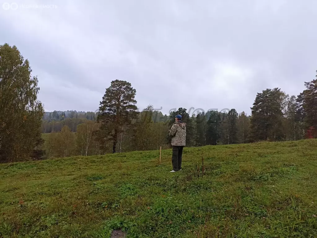 Участок в село Турочак, улица Солнечная Поляна (12.2 м) - Фото 0