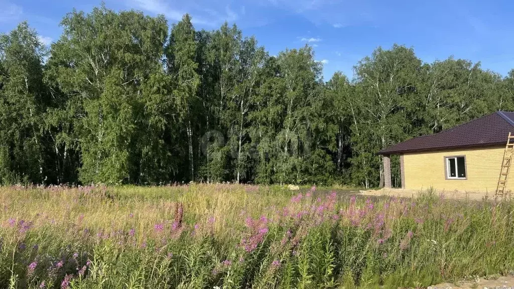 Участок в Тюменская область, Тюменский муниципальный округ, д. Елань  ... - Фото 1