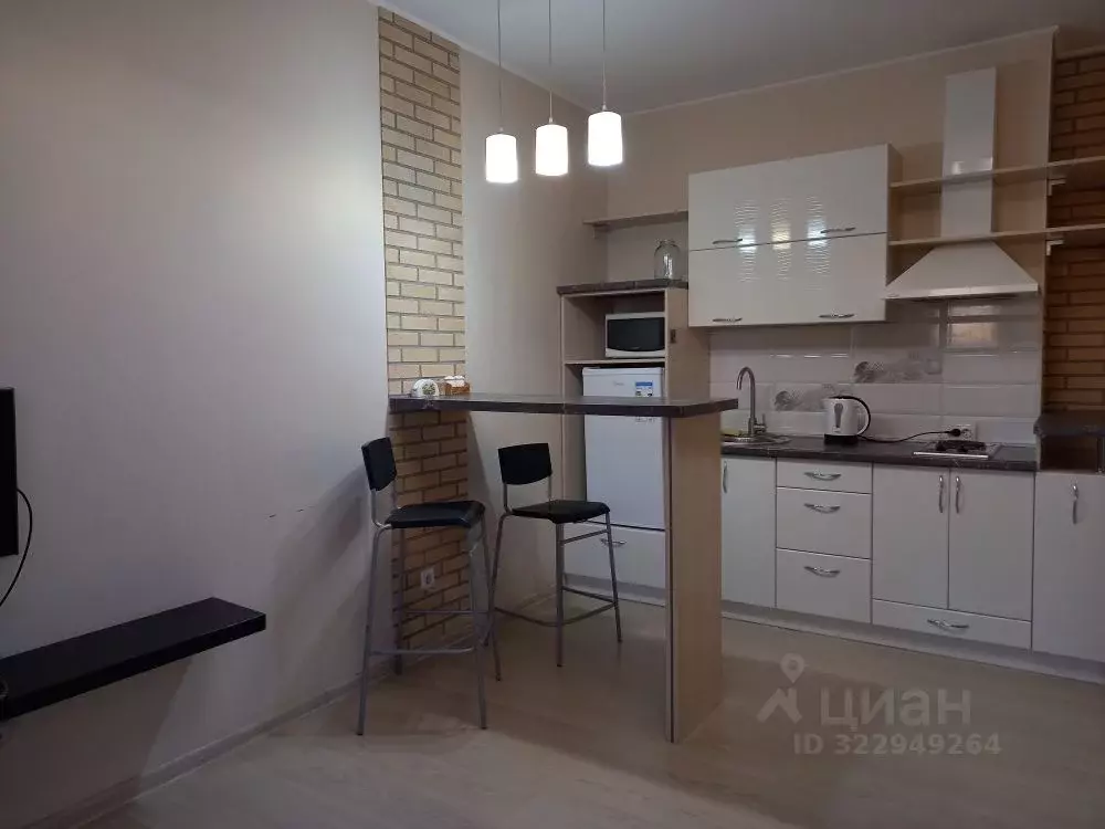 Студия Новосибирская область, Новосибирск ул. Гоголя, 26 (28.0 м) - Фото 1