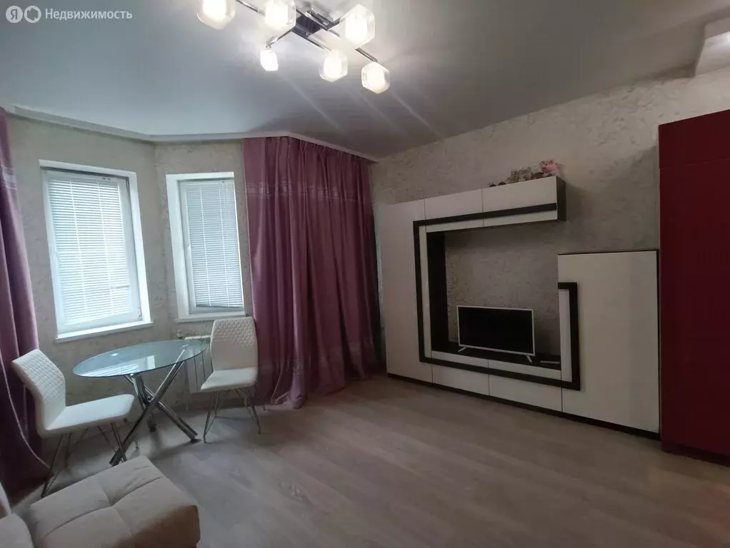 Квартира-студия: деревня Новая Купавна, 3 (25.1 м) - Фото 2