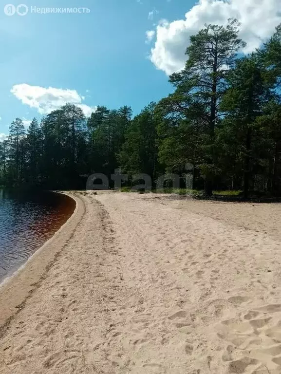 Участок в Республика Карелия, Сегежский муниципальный округ, ... - Фото 2