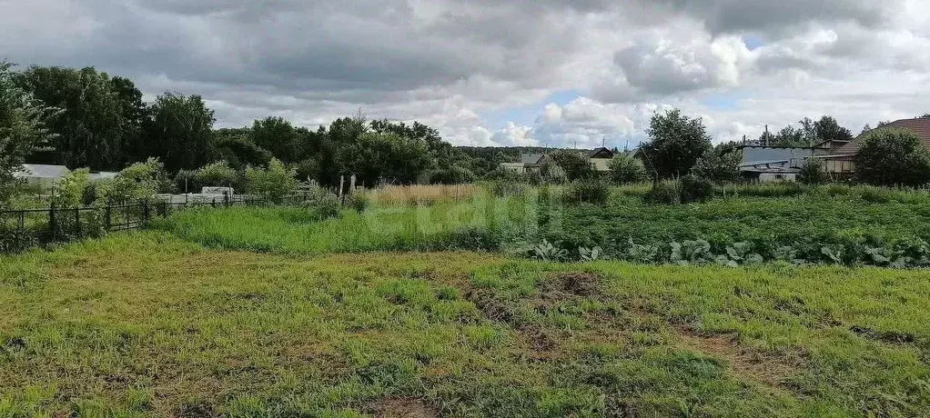Участок в Новосибирская область, Новосибирский район, с. Барышево ул. ... - Фото 0