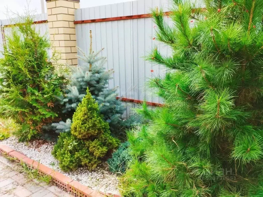 Дом в Тюменская область, Тюменский район, Серебряный бор ТСН ул. ... - Фото 1