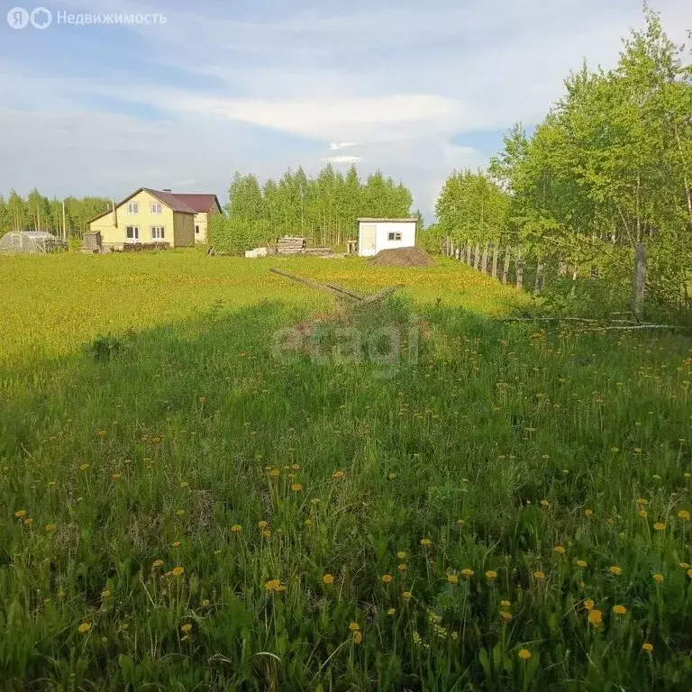 Участок в Республика Марий Эл, городской округ Йошкар-Ола, деревня ... - Фото 1