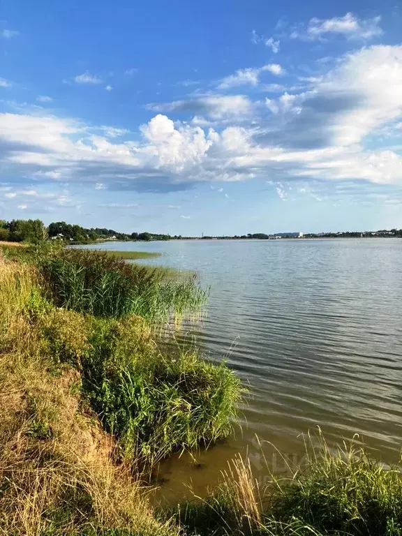 Участок в Владимирская область, Кольчугино муниципальное образование, ... - Фото 1