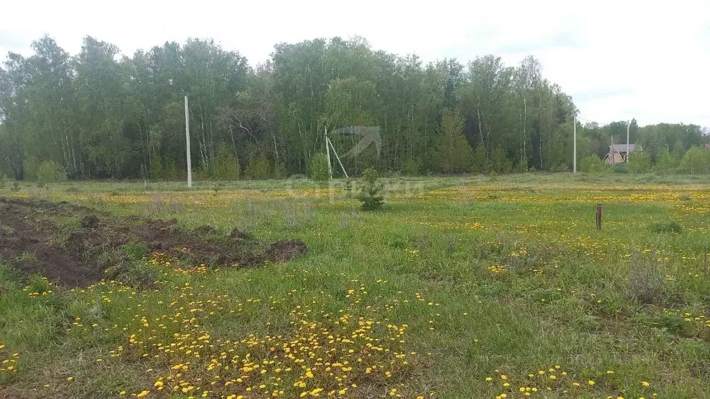 Участок в Челябинская область, Сосновский район, Краснопольское с/пос, ... - Фото 1