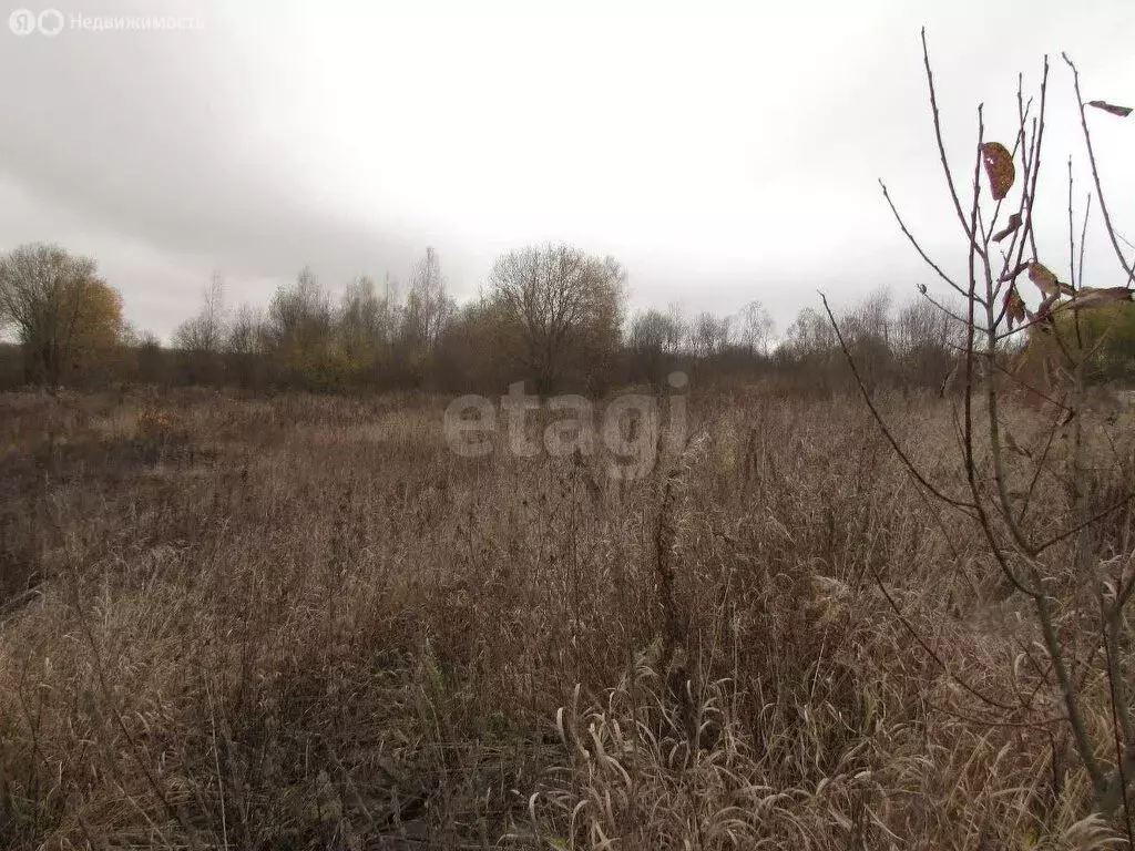 Участок в Череповецкий район, муниципальное образование Югское, ... - Фото 0