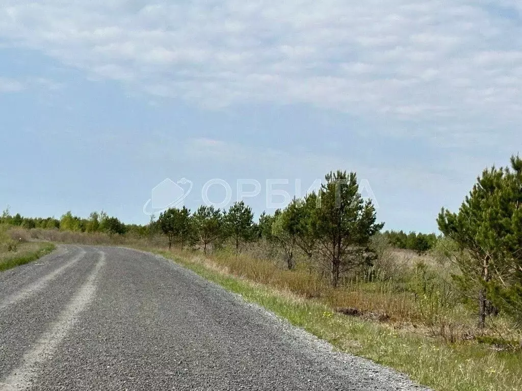 Участок в Тюменская область, Тюменский район, с. Кулаково ул. ... - Фото 1