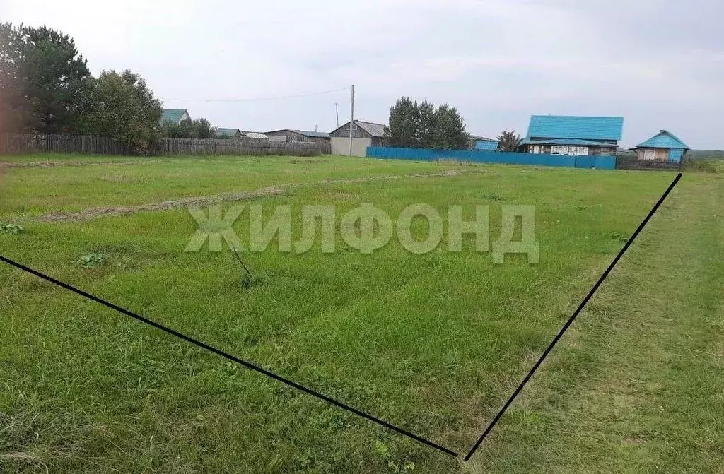 Участок в Новосибирская область, Ордынский район, с. Антоново Зеленая ... - Фото 1