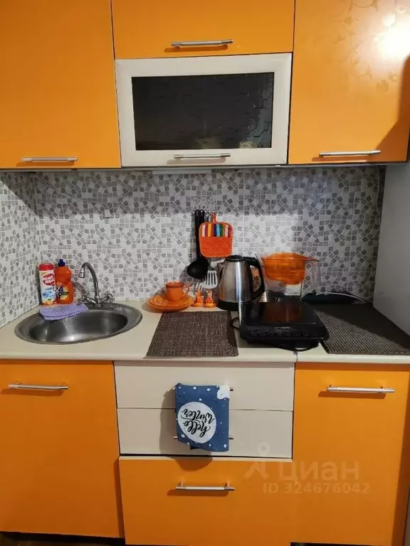 Студия Красноярский край, Красноярск ул. Борисова, 42 (25.0 м) - Фото 2