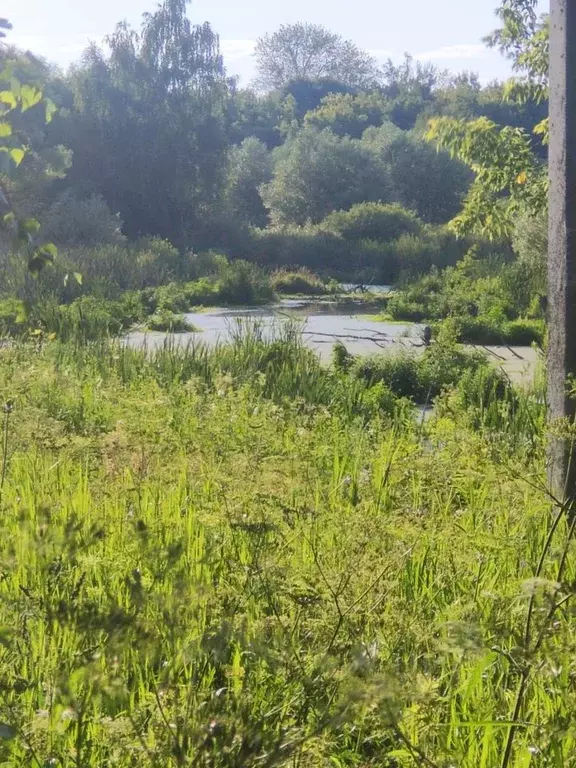 Дом в Московская область, Луховицы муниципальный округ, д. Зекзюлино ... - Фото 2