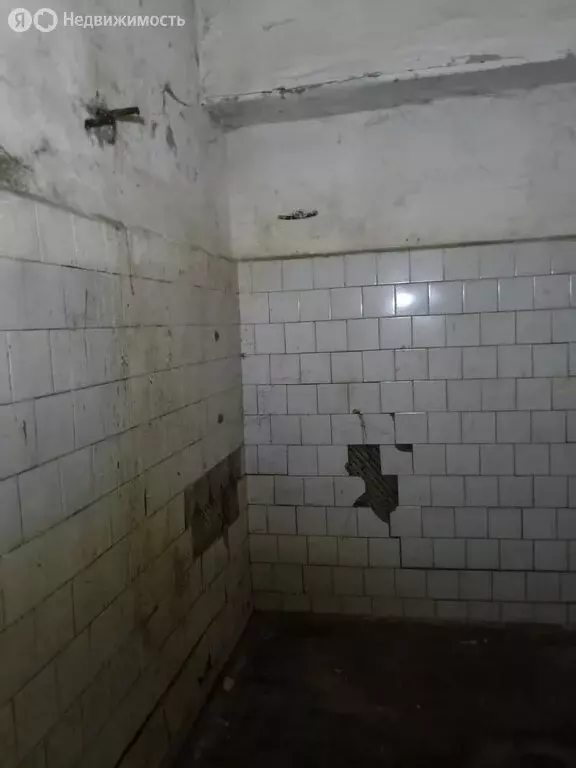 Помещение свободного назначения (235.6 м) - Фото 2