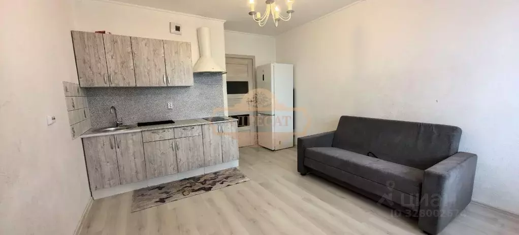 Студия Ленинградская область, Ломоносовский район, Виллозское ... - Фото 1