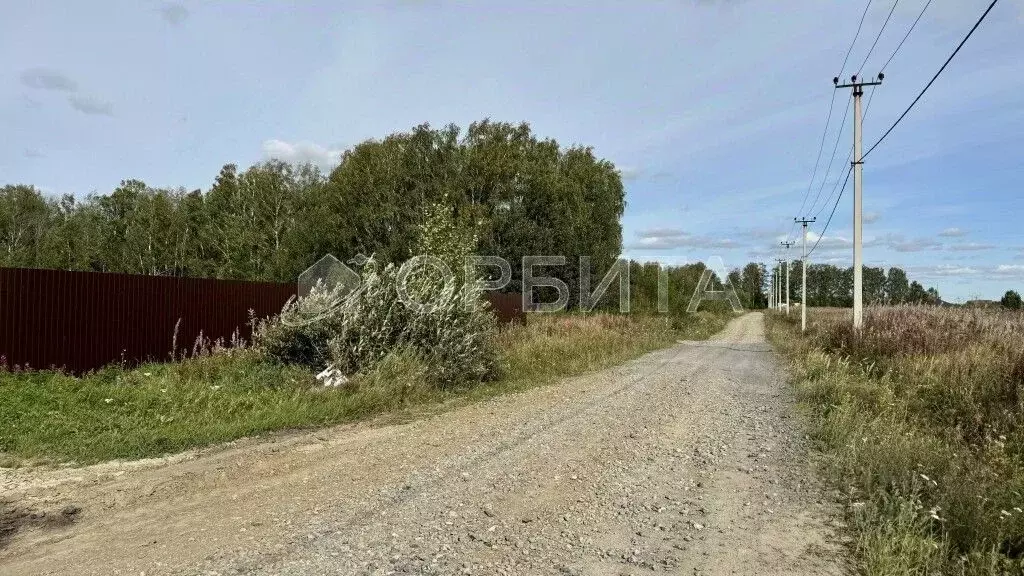 Участок в Тюменская область, Тюменский район, с. Каменка  (10.0 сот.) - Фото 1