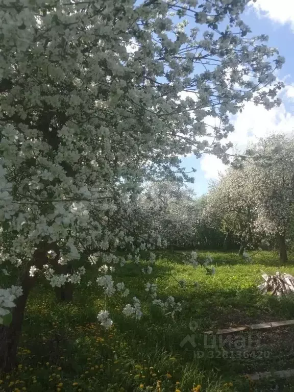 Дом в Калужская область, Сухиничский муниципальный округ, Шлиппово ... - Фото 2