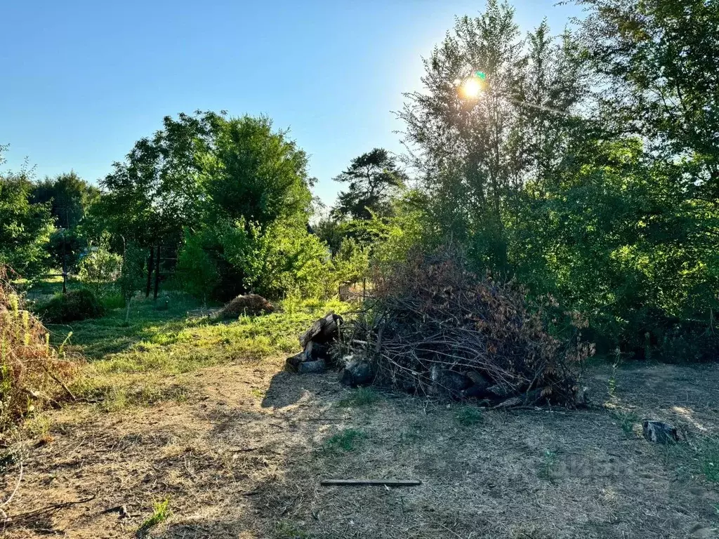 Участок в Астраханская область, Приволжский район, Елочка садовое ... - Фото 2