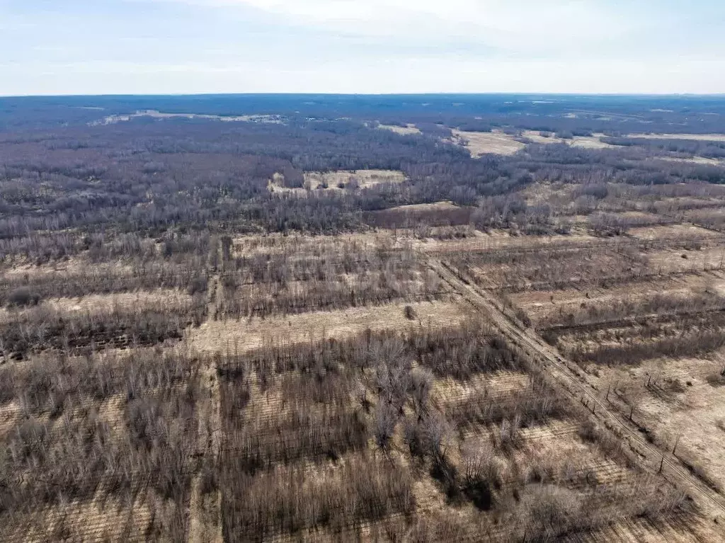 Участок в Новосибирская область, Новосибирский район, Березовский ... - Фото 2