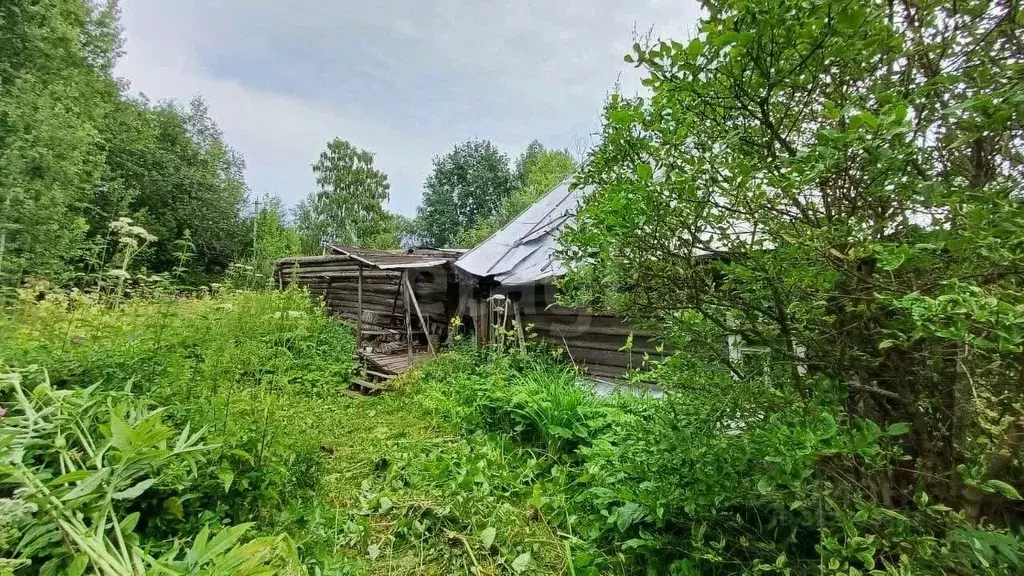 Участок в Вологодская область, Грязовецкий муниципальный округ, д. ... - Фото 2