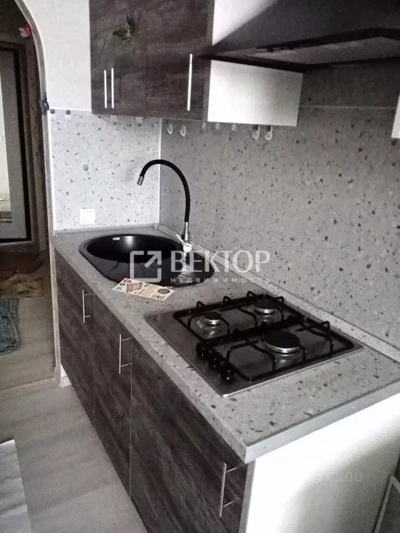 1-к кв. Костромская область, Кострома Венеция мкр, 41 (30.0 м) - Фото 2