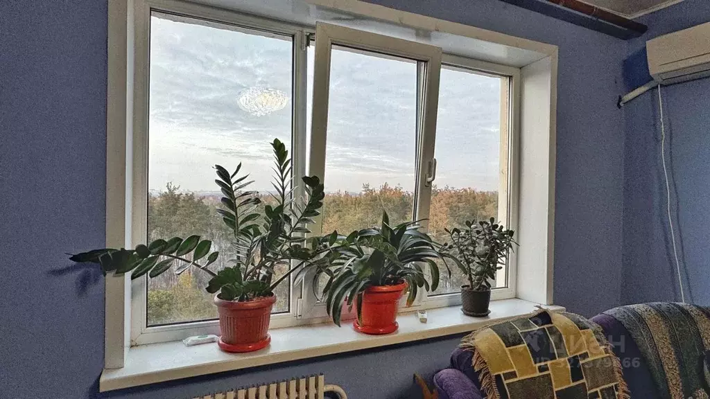 2-к кв. Воронежская область, Воронеж Тепличная ул., 6Б (54.0 м) - Фото 2